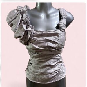 Beautiful Silver Bebe Ruched Women's Top